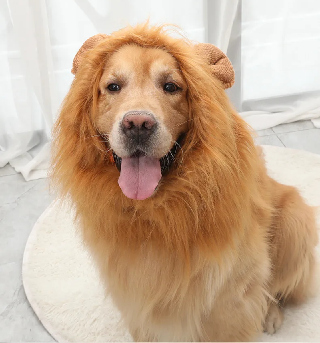 Lion Mane Dog Costume