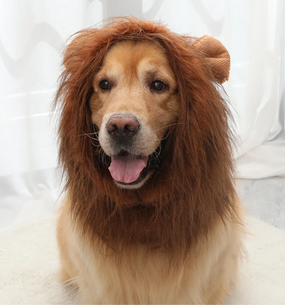 Lion Mane Dog Costume