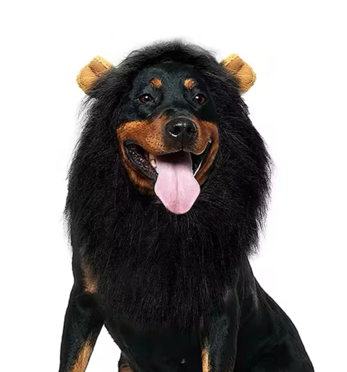 Lion Mane Dog Costume