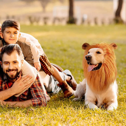 Lion Mane Dog Costume