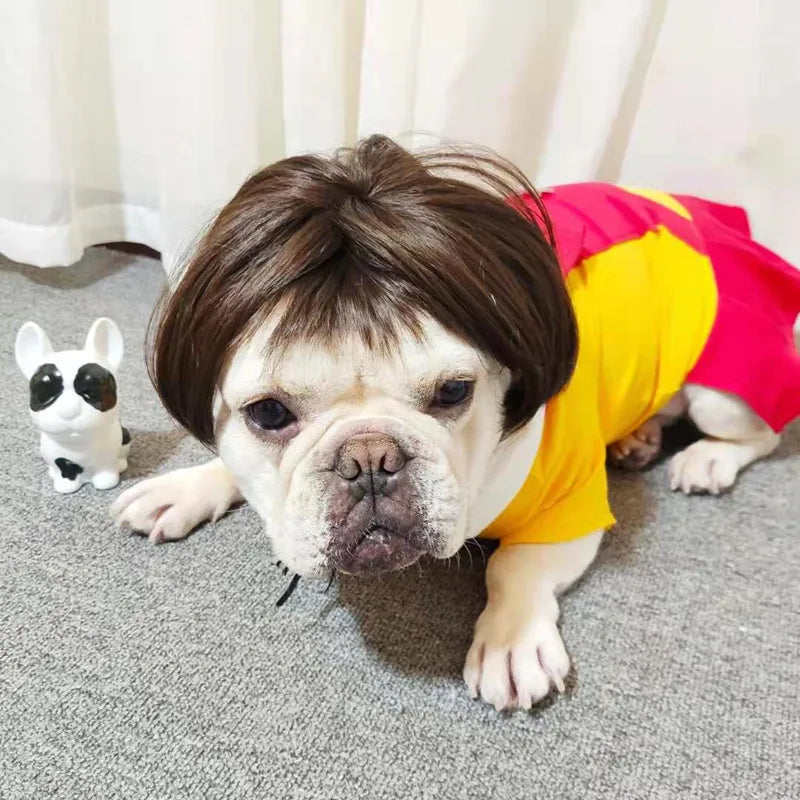 Pet Wig Costume