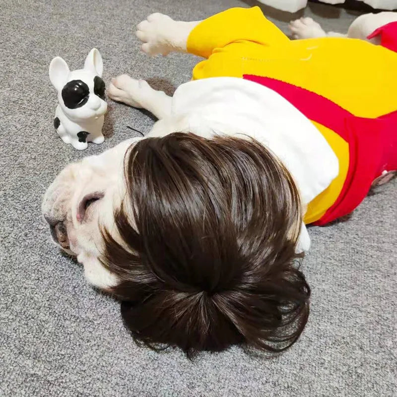 Pet Wig Costume