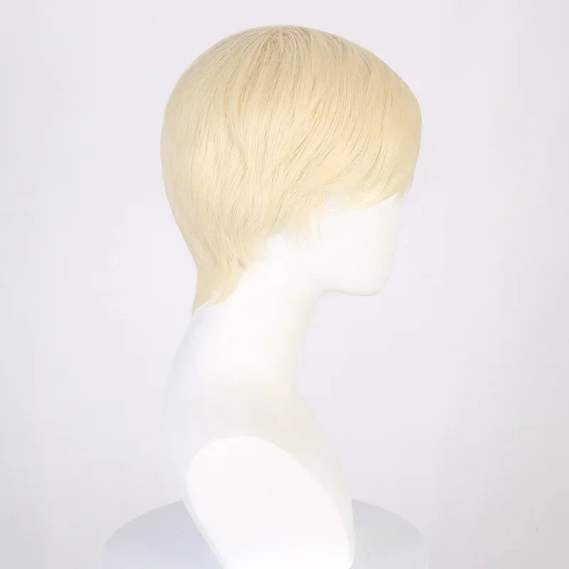 Wig Ken Costume